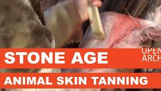 Stone Age Animal Skin Tanning - Nahan Parkitus (OpenARCH)
