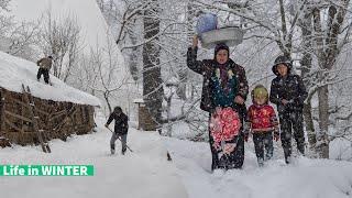 Life in Winter at Village of Talesh Mountains Episode Three | Country Life Series