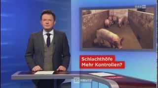 Schlachthöfe in der Kritik 2015 | ORF Steiermark heute