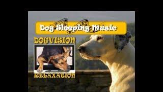 Dog Sleeping Music and Relaxation Anti-Anxiety Separation Anxiety or Quiet Rest