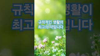 규칙적인 생활이 최고의 약입니다 #명언 #좋은글  #건강 #지혜
