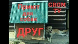Приют для собак "Друг" (Омск)