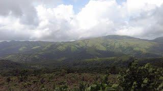 Relaxing nature view /CoorgExplorer/ 4k relaxing video