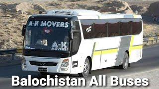 all buses lover's | balochistan buses | must watch