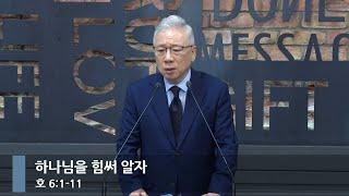 [아침예배] 하나님을 힘써 알자 (호 6:1-11)_베이직교회_조정민 목사_20241008