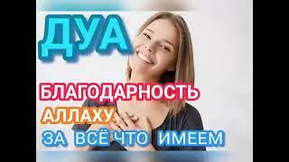 ДУА БЛАГОДАРНОСТЬ АЛЛАХУ ЗА ВСЁ ЧТО ИМЕЕМ