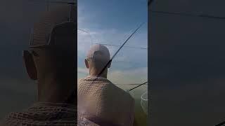 2 МЕГА-ЛАДОНА з точки #shorts #судак #рибалка
