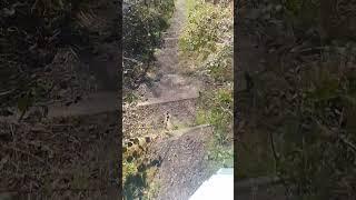 walk and talk ep40
