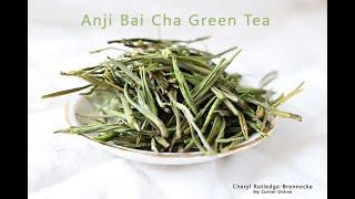 Anji Bai Cha Green Tea of Zhejiang by Yunnan Sourcing