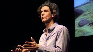 Notre conception du monde nous interdit le monde de demain: Yannick Roudaut at TEDxNantes