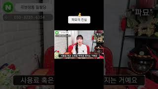 #파묘 #김고은 #파묘진실