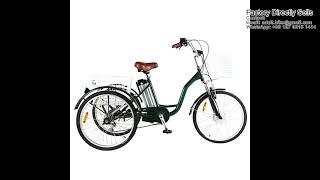 OEM Custom Electric Tricycles for sale | Three-wheel Electric Tricycle for Adults