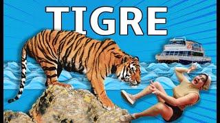 Como ir e o que fazer em TIGRE - Buenos Aires