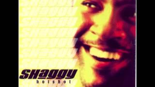 Shaggy - Not Fair