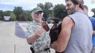 Decorah Eagle Nest | Iowa Outdoors