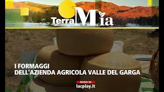 I formaggi della azienda agricola Valle del Garga - 𝐓𝐞𝐫𝐫𝐚 𝐌𝐢𝐚