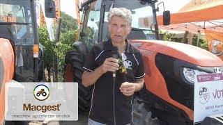 Kubota - trattore da vigneto #Enovitis in campo 2017