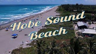 [MINI] Hobe Sound, Florida - Visit a Small Beach. Leave with a Big Smile [4K]