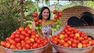 Temporada de tomates, a fruta mais versátil da estação