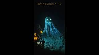 Docuseries: Ocean Portal #foryoupage #fyp #underwatercreatures #fish #deepsea #undersea #sea #ship