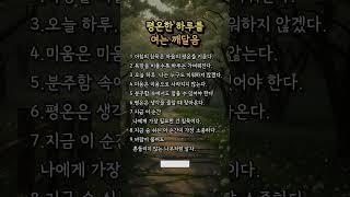 평온한 하루를여는 깨달음  #평온한하루 #마음수행 #아침명언