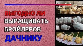 ВЫГОДНО ЛИ ВЫРАЩИВАТЬ БРОЙЛЕРОВ ДАЧНИКУ (В ЧАСТНОМ ПОДСОБНОМ ХОЗЯЙСТВЕ). ЭКОНОМИЧЕСКИЕ ПОДСЧЕТЫ