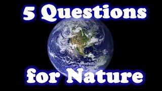 5 Questions for Nature