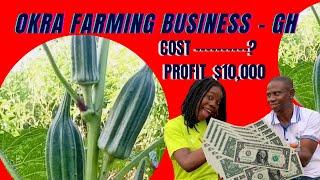 The Cost of starting Okro farming from scratch and the  Profits of $10000 to make | Agribusiness