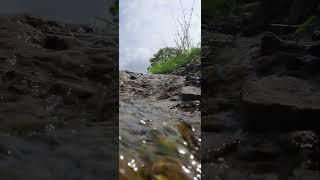 Monsoon Stream #Monsoon #Stream #Life #Grasslands #nature