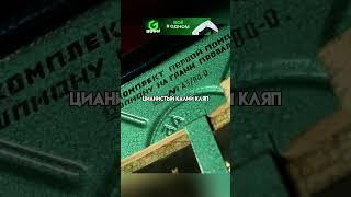 Диван холостяка  Гитлер капут! (2008)