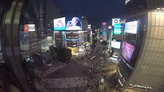 Shibuya crossing