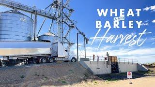 2021 Wheat & Barley Harvest  – Farming Australia, Moree