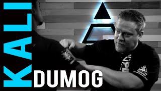 Secret Bodyguard Strategy the DUMOG! | Sean Elders