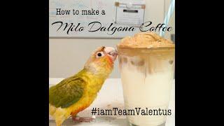 HOW TO MAKE A MILO DALGONA COFFEE | DALGONA VALENTUS VERSION | WHY IS IT CALLED DALGONA?