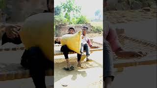 Happy New year funny video chai banaa rahe #shortsviralnewyears #newvarsh2023 shortsviral