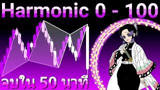 สอน Harmonic Pattern ตั้งแต่ 0-100 ครบจบใน 50 นาที! สอนเทรด Harmonic | สอนเทรด 0-100 เดอะซีรี่ย์