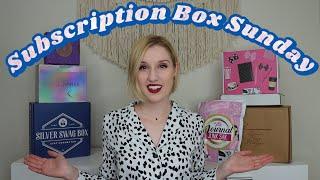 Subscription Box Sunday | Vol. 1 November 2022 | Goddess Provisions, Blink Wink, Silver Swag + MORE