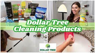 TESTING DOLLAR TREE CLEANING PRODUCTS SUMMER 2024