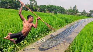 Top Fishing Video 2023  Experts Fisherman Big Fish Catching In Water Drain  Best Fishing Video