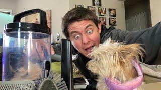 FurMe Pet Grooming Vacuum / Cutting Zena’s Fur @ Home?!?