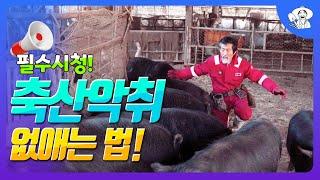 미생물 발효퇴비로 매실 농사 짓는 강기갑 농부