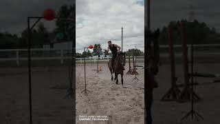 Balloon archery with horse || GRAPINDO Film Animation || Miyu Liu Xiao || #Shorts