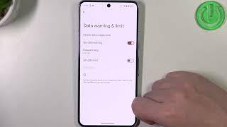 How to Set Up Mobile Data Limit on GOOGLE Pixel 8 Pro?