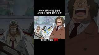 루피의 경악스러운 혈통이 드디어 온 세상에 밝혀진 순간 #원피스