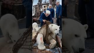 A mother polar bear and her cub plead with a sailor to free them from a net. #polarbear