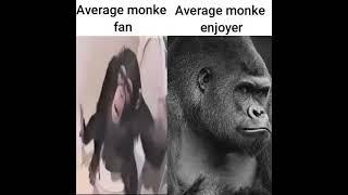 Average monke fan vs Average monke enjoyer