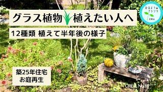 グラス植物を植えたい人へ12種類植えて半年後の様子ハロウィンも楽しめる寄せ植えと秋の庭No.68/2024.10.11撮影