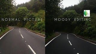 MOODY EDITING | SNAPSEED EDITING TUTORIAL | DARK MOODY TONES