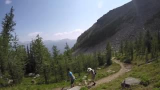 Fairview Mountain (Lake Louise) 2015