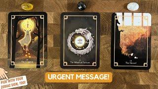 An Urgent Message From Your Spirit Guides! | Timeless Reading